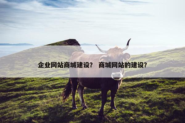 企业网站商城建设？ 商城网站的建设？