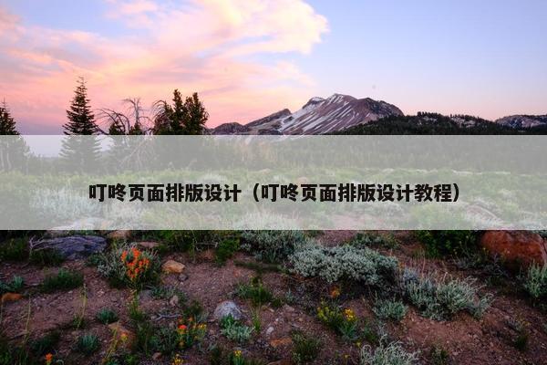 叮咚页面排版设计（叮咚页面排版设计教程）