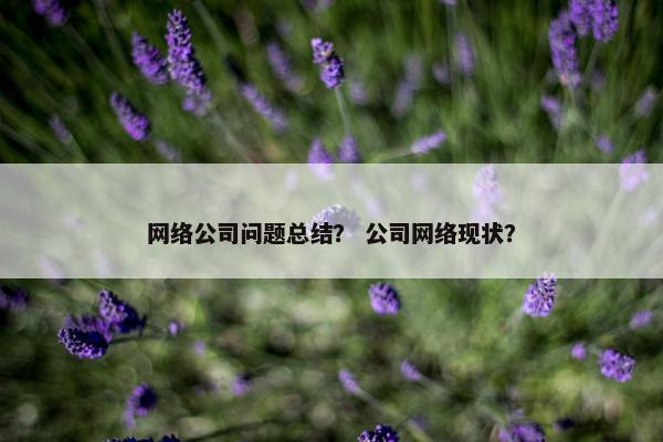 网络公司问题总结？ 公司网络现状？