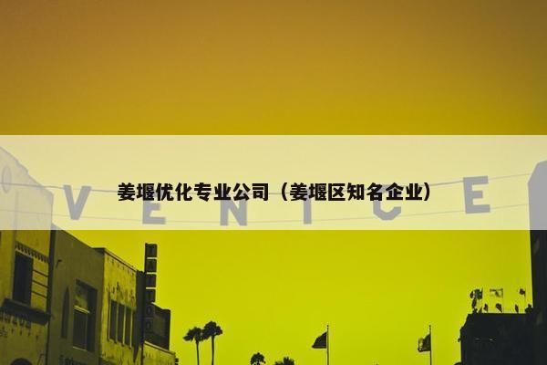 姜堰优化专业公司（姜堰区知名企业）