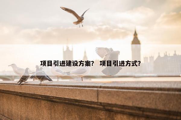 项目引进建设方案？ 项目引进方式？
