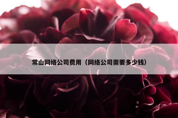 常山网络公司费用（网络公司需要多少钱）