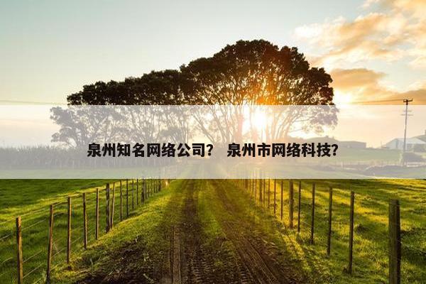 泉州知名网络公司？ 泉州市网络科技？