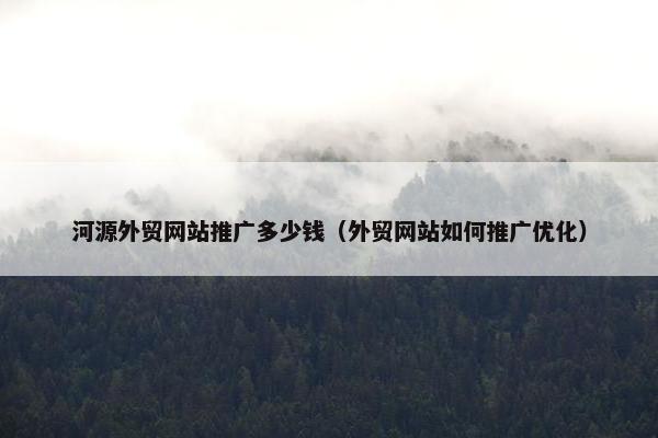 河源外贸网站推广多少钱（外贸网站如何推广优化）