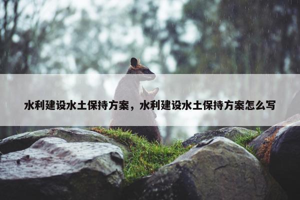 水利建设水土保持方案，水利建设水土保持方案怎么写