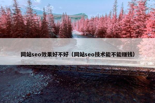 网站seo效果好不好（网站seo技术能不能赚钱）