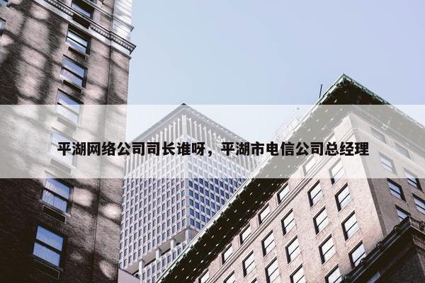 平湖网络公司司长谁呀，平湖市电信公司总经理