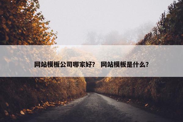 网站模板公司哪家好？ 网站模板是什么？