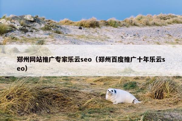 郑州网站推广专家乐云seo（郑州百度推广十年乐云seo）