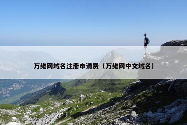 万维网域名注册申请费（万维网中文域名）