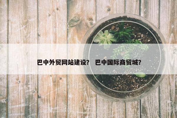 巴中外贸网站建设？ 巴中国际商贸城？