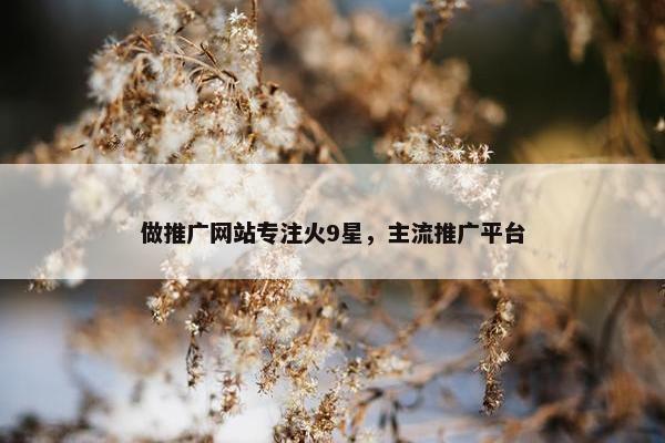 做推广网站专注火9星，主流推广平台