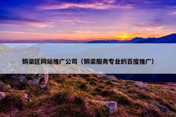 铜梁区网站推广公司（铜梁服务专业的百度推广）