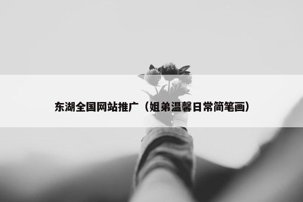 东湖全国网站推广（姐弟温馨日常简笔画）