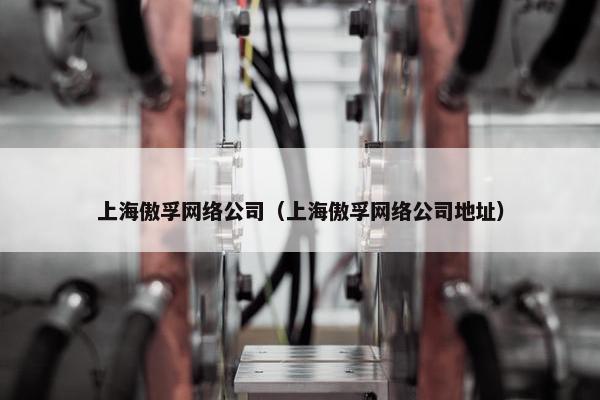 上海傲孚网络公司（上海傲孚网络公司地址）