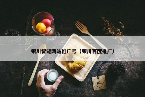 银川智能网站推广号（银川百度推广）