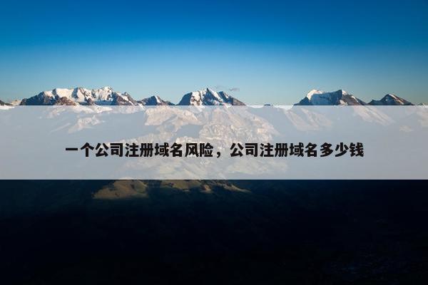 一个公司注册域名风险，公司注册域名多少钱