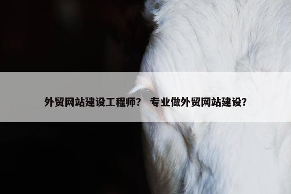 外贸网站建设工程师？ 专业做外贸网站建设？