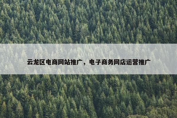 云龙区电商网站推广，电子商务网店运营推广