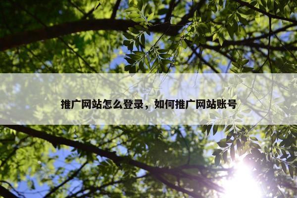 推广网站怎么登录，如何推广网站账号