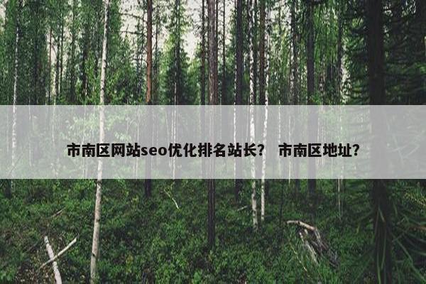 市南区网站seo优化排名站长？ 市南区地址？