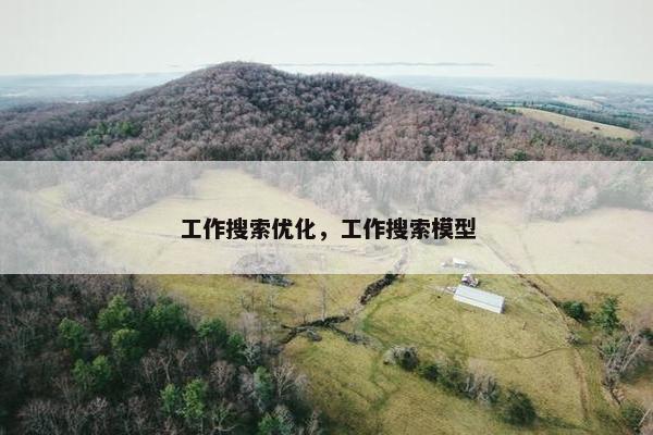 工作搜索优化，工作搜索模型