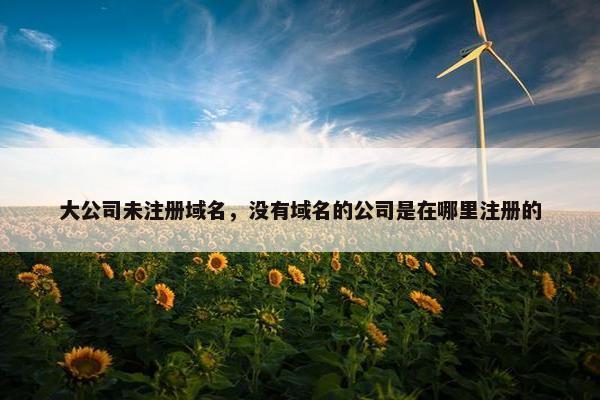 大公司未注册域名，没有域名的公司是在哪里注册的