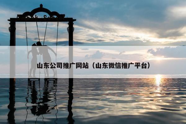 山东公司推广网站（山东微信推广平台）