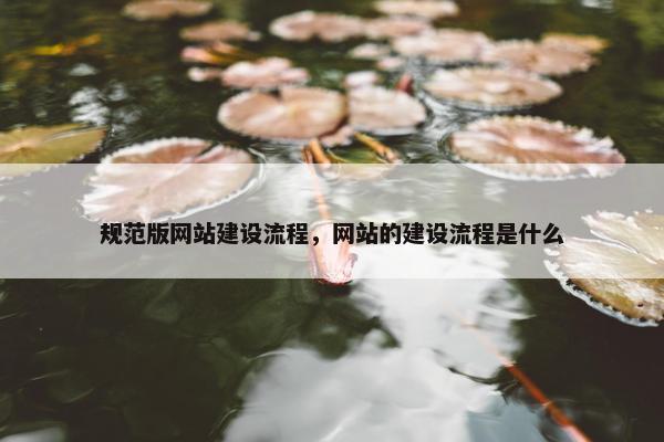 规范版网站建设流程，网站的建设流程是什么