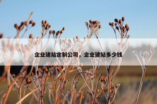 企业建站定制公司，企业建站多少钱