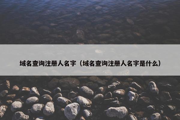域名查询注册人名字（域名查询注册人名字是什么）