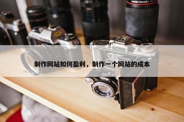 制作网站如何盈利，制作一个网站的成本