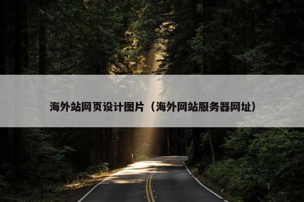 海外站网页设计图片（海外网站服务器网址）