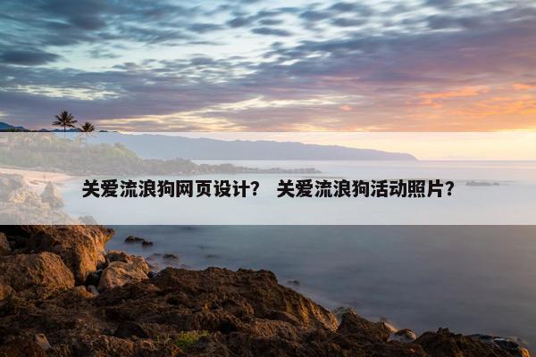 关爱流浪狗网页设计？ 关爱流浪狗活动照片？