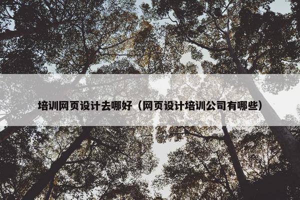 培训网页设计去哪好（网页设计培训公司有哪些）