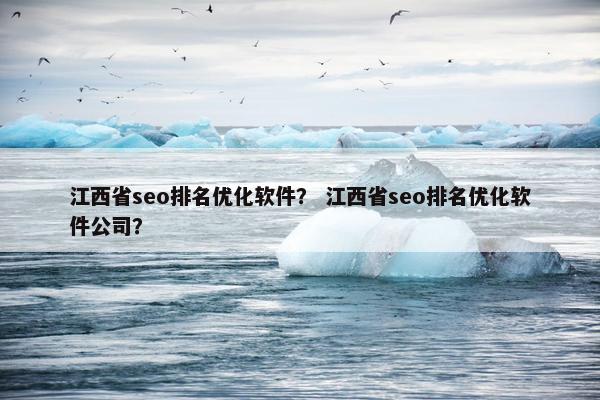 江西省seo排名优化软件？ 江西省seo排名优化软件公司？