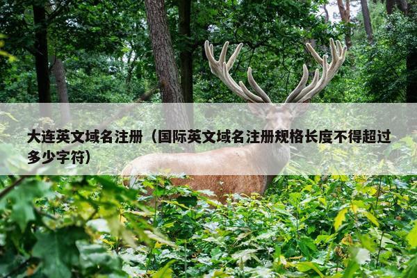 大连英文域名注册（国际英文域名注册规格长度不得超过多少字符）
