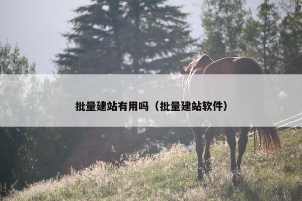 批量建站有用吗（批量建站软件）