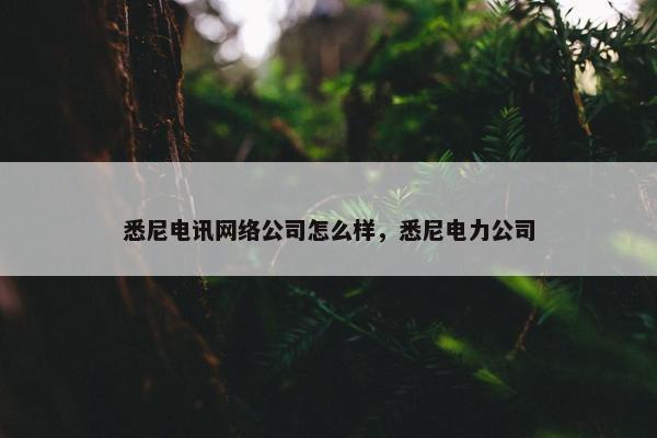 悉尼电讯网络公司怎么样，悉尼电力公司
