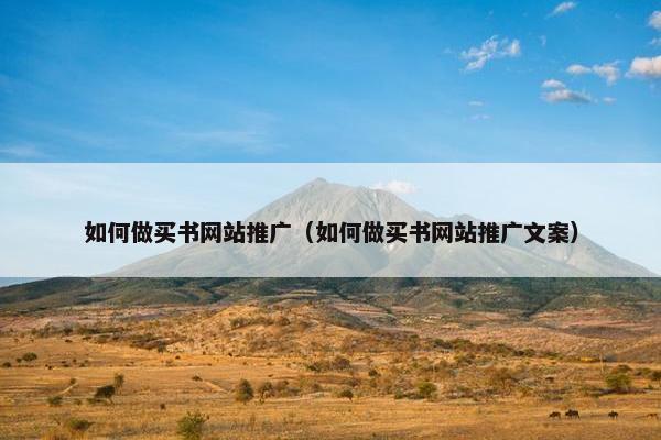 如何做买书网站推广（如何做买书网站推广文案）