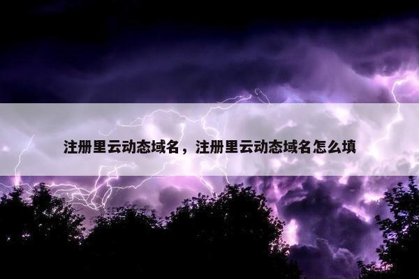 注册里云动态域名，注册里云动态域名怎么填