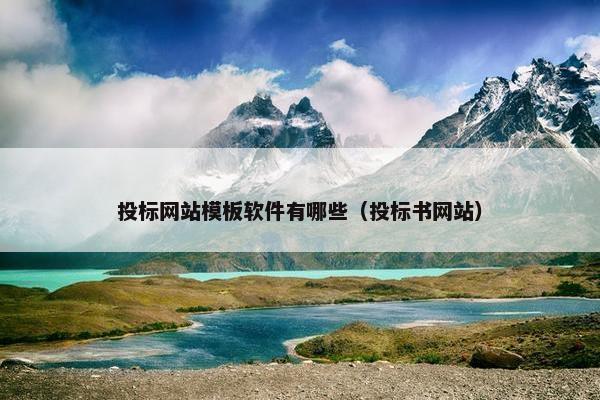 投标网站模板软件有哪些（投标书网站）