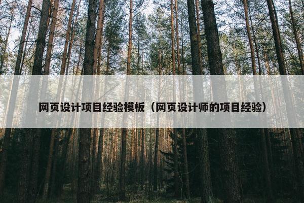 网页设计项目经验模板（网页设计师的项目经验）