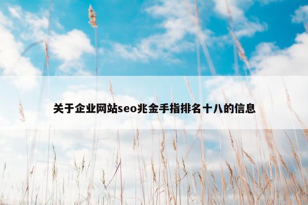 关于企业网站seo兆金手指排名十八的信息