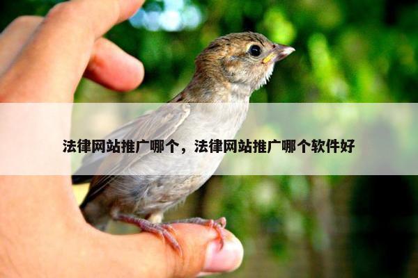 法律网站推广哪个，法律网站推广哪个软件好