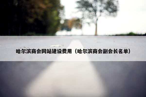 哈尔滨商会网站建设费用（哈尔滨商会副会长名单）