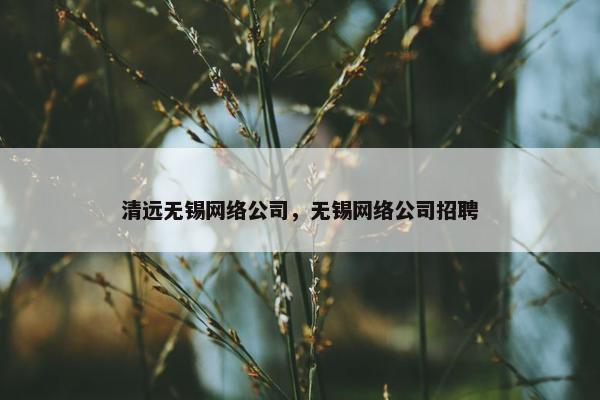 清远无锡网络公司，无锡网络公司招聘