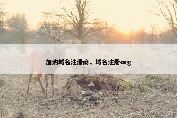 加纳域名注册商，域名注册org