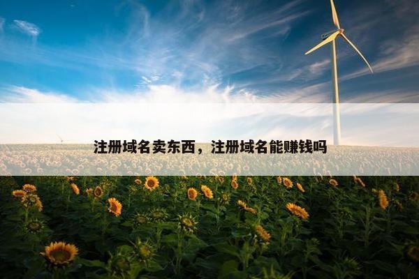注册域名卖东西，注册域名能赚钱吗