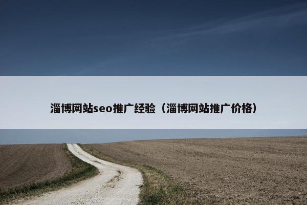 淄博网站seo推广经验（淄博网站推广价格）